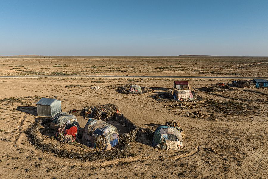 El cambio climático acaba con el ganado y la vida nómada en Somalia: "Todo se ha convertido en polvo"